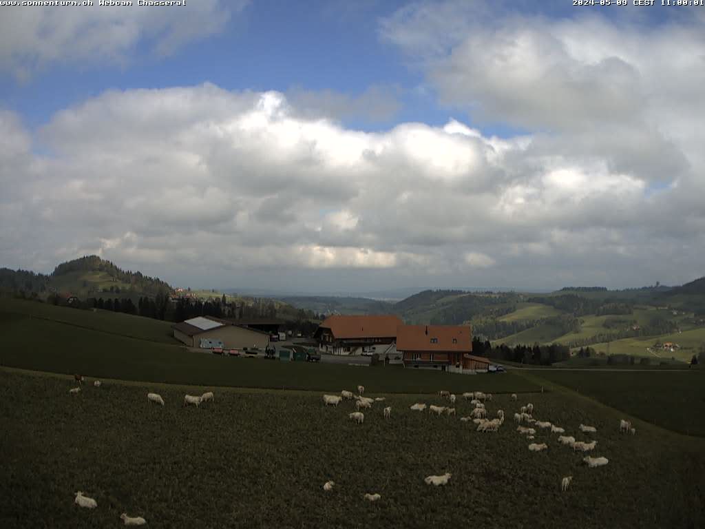 webcamchasseral